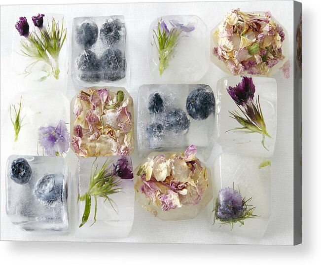 England Acrylic Print featuring the photograph Flowers and fruit frozen in ice-cubes by Debby Lewis-Harrison
