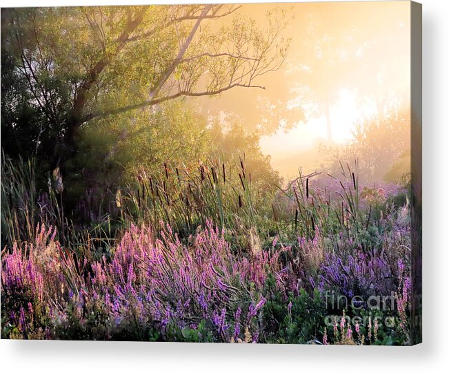 Fog Acrylic Print featuring the photograph Foggy August in the marshes by Janice Drew