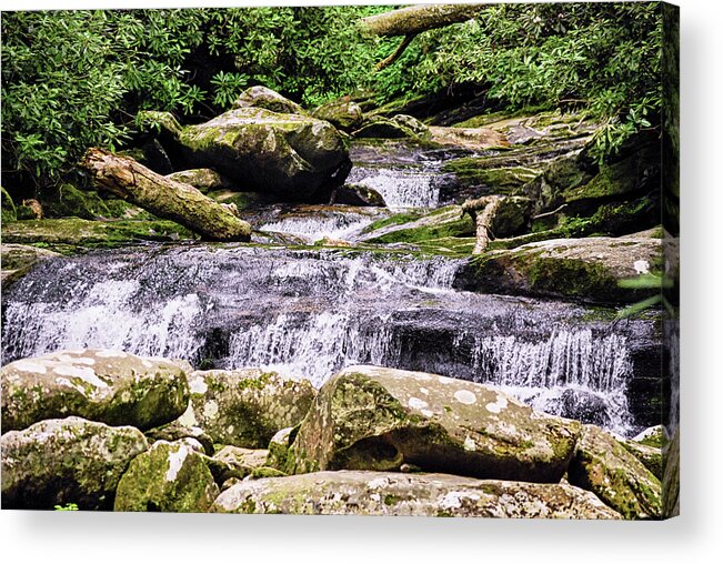 Creek Acrylic Print featuring the photograph Forest Falls by Christi Kraft