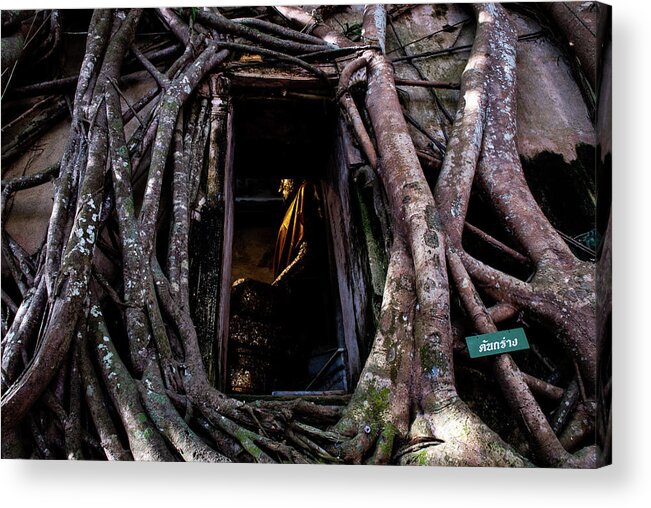 Banyan Acrylic Print featuring the photograph Forgotten Temple - Wat Ban Kung, Thailand by Earth And Spirit