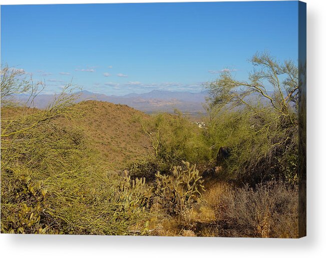 Overlook Trail Acrylic Print featuring the photograph Fountain Hills from the Overlook Trail by Lynda Lehmann