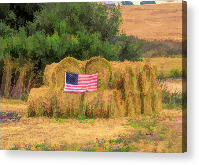 Flag Acrylic Print featuring the photograph Freedom In A Haystack by Barbara Snyder