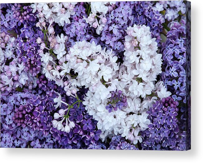 Face Mask Acrylic Print featuring the photograph Glorious Lilacs by Theresa Tahara