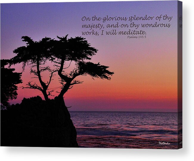 California Acrylic Print featuring the photograph Glorious Splendor by Tim Kathka
