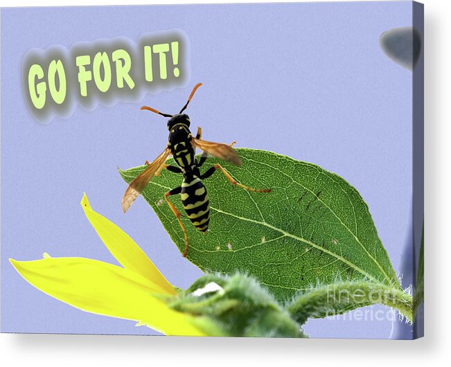 Challenge Acrylic Print featuring the photograph Go For It by Kae Cheatham