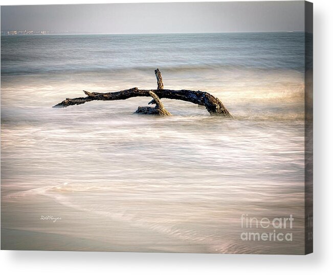 Nature Acrylic Print featuring the photograph Harmonious Driftwood by DB Hayes