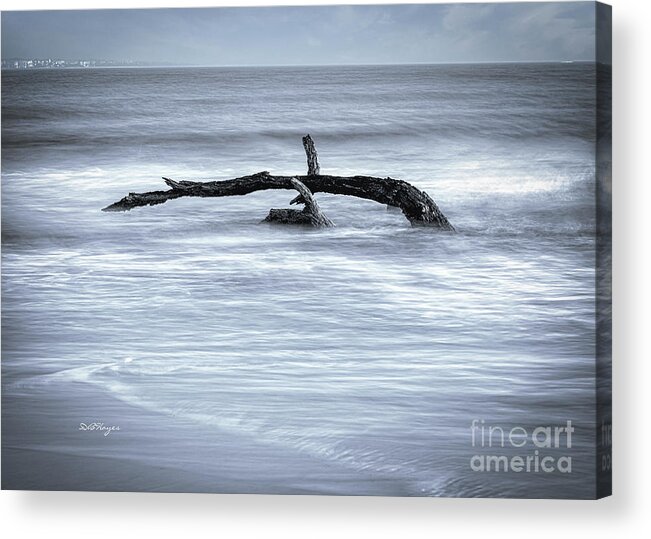 Nature Acrylic Print featuring the photograph Harmonious Driftwood II by DB Hayes