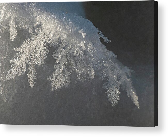 Frost Acrylic Print featuring the photograph Hoar Frost Feathers by Phil And Karen Rispin