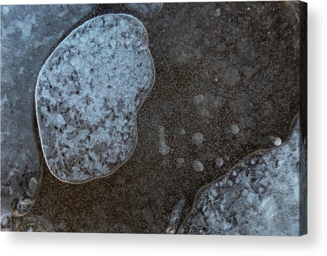 Bubbles Acrylic Print featuring the photograph Ice Abstract With Bubbles by Karen Rispin