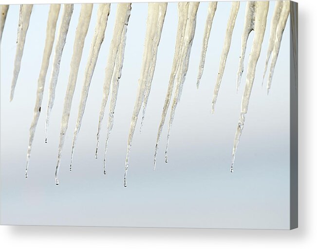 Melting Acrylic Print featuring the photograph Icicles by David Trood