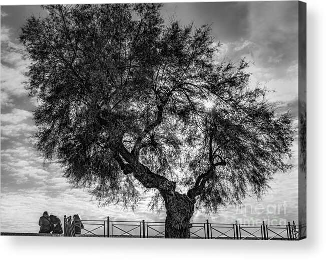 Scene Acrylic Print featuring the photograph In the shade of a large tree by The P