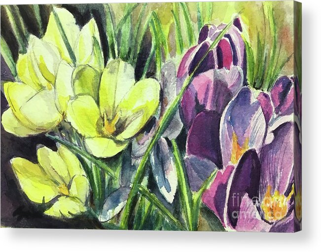 Crocus Acrylic Print featuring the painting Is spring near? by Sonia Mocnik