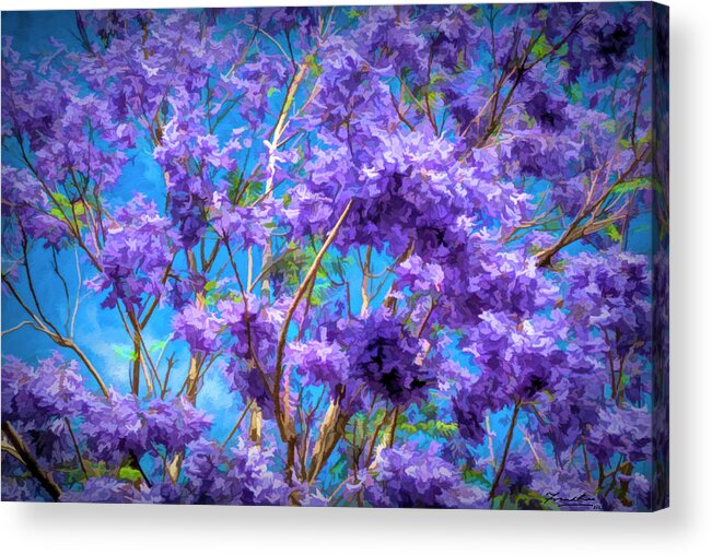 Abstract Acrylic Print featuring the painting Jacaranda Tree by Frank Lee