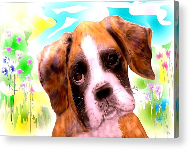 Pencil Sketched Boxer Puppy Resting After A Romp In The Meadow. Acrylic Print featuring the mixed media Just another Blossom. by Pamela Calhoun