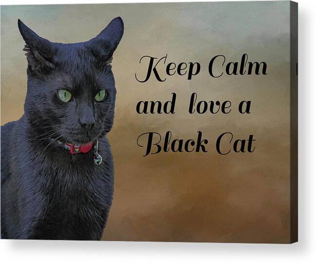 Cat Acrylic Print featuring the photograph Keep Calm by Cathy Kovarik