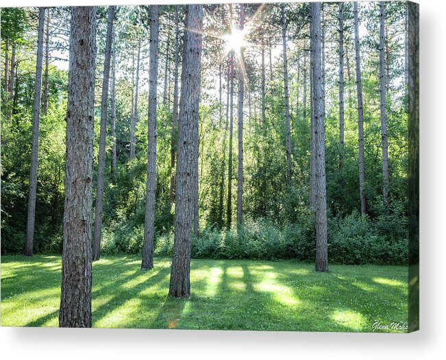 Kettle Moraine Acrylic Print featuring the photograph Kettle Moraine Trees Tote by GLENN Mohs