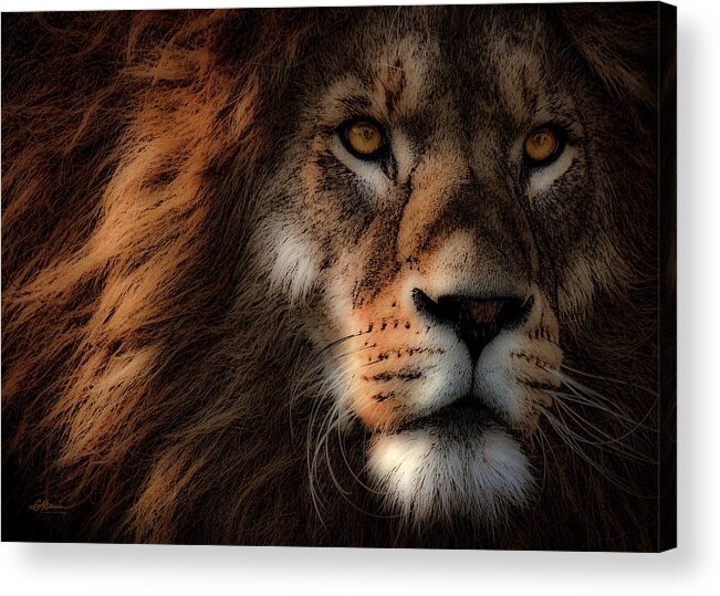 Lion Acrylic Print featuring the digital art King of Kings by Cindy Collier Harris