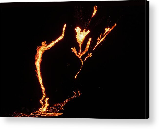 Fagradalsfjall Mountain Acrylic Print featuring the photograph Lava Bouquet by Dee Potter