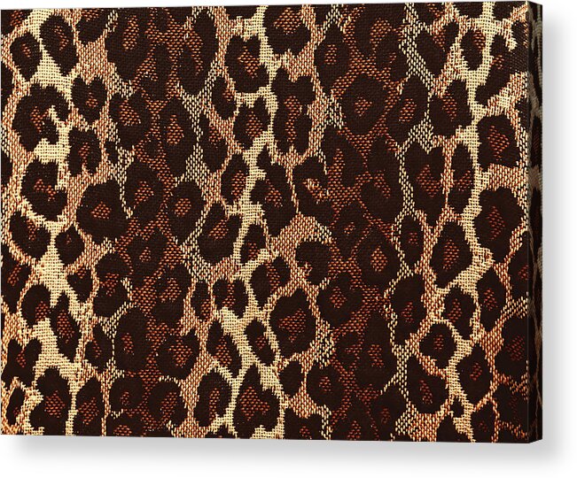 Leopard Print Acrylic Print featuring the photograph Leopard Print by Susan Rissi Tregoning
