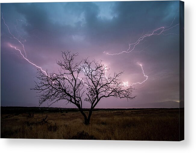 Storm Acrylic Print featuring the photograph Lightning Tree by Wesley Aston