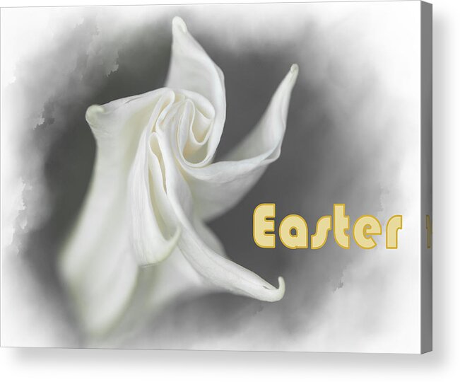 Easter Acrylic Print featuring the mixed media Lily by Moira Law