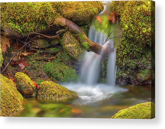 Willard Brook State Forest Acrylic Print featuring the photograph Massachusetts Waterfall by Juergen Roth