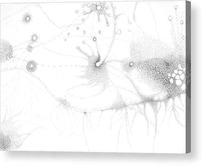 Movement Acrylic Print featuring the drawing Migration 2 by Franci Hepburn