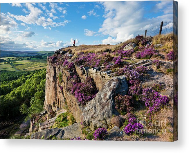 Hathersage Acrylic Print featuring the photograph Millstone edge and Hathersage Moor with Purple Heather, Peak District, England by Neale And Judith Clark