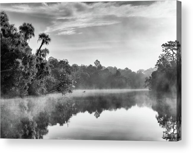 It Was Such A Peaceful And Calm Morning Along The Myakka River At The Jelks Preserve Acrylic Print featuring the photograph Misty Morning by Rudy Wilms