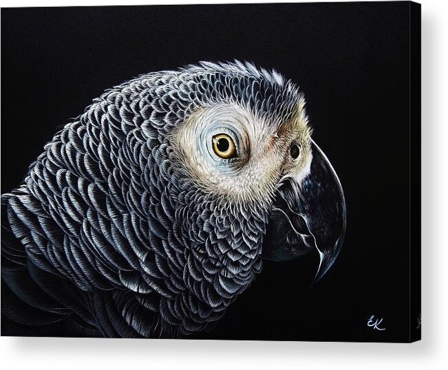 African Grey Parrot Acrylic Print featuring the mixed media MR Grey by Elena Kolotusha