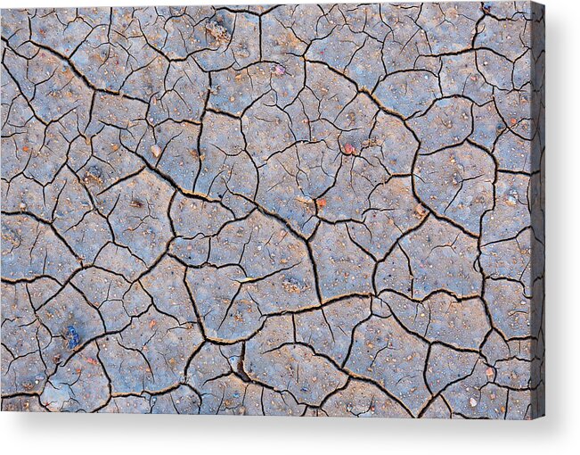 Mud Acrylic Print featuring the photograph Mud Puzzle by Darren White
