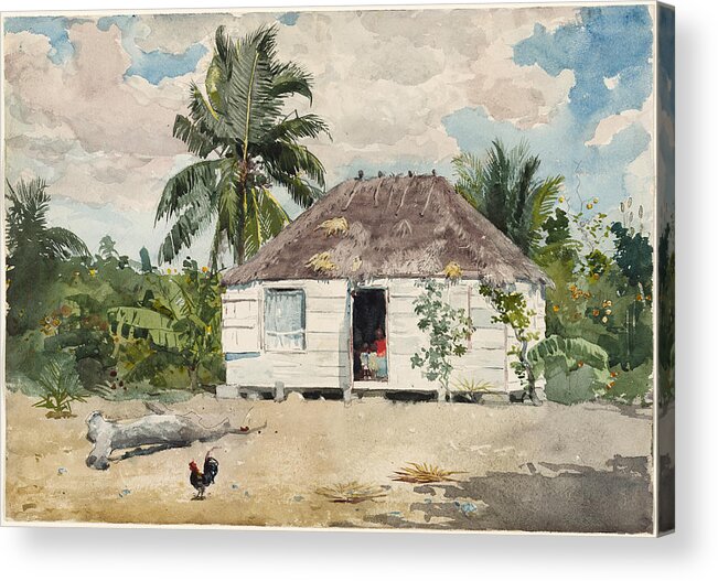 Winslow Homer Acrylic Print featuring the drawing Native hut at Nassau by Winslow Homer