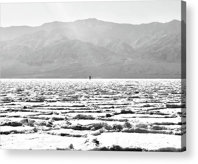 Death Valley Acrylic Print featuring the photograph Never Alone by Kevyn Bashore