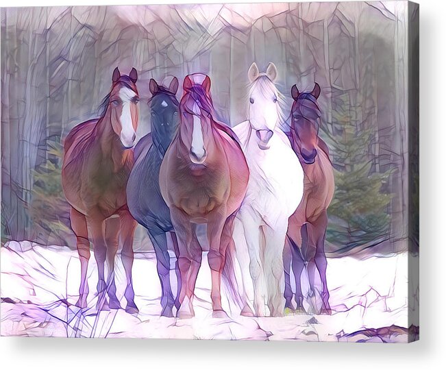Horses Acrylic Print featuring the digital art Oh Hello 1 by Listen To Your Horse
