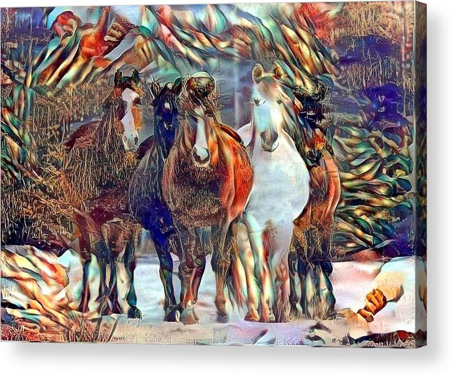 Horses Acrylic Print featuring the photograph Oh Hello 2 by Listen To Your Horse