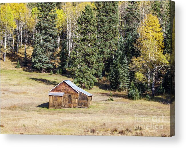 Homestead Acrylic Print featuring the photograph Old Colorado Homestead by Shirley Dutchkowski