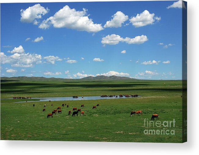 One Day Countryside Acrylic Print featuring the photograph One day Countryside by Elbegzaya Lkhagvasuren