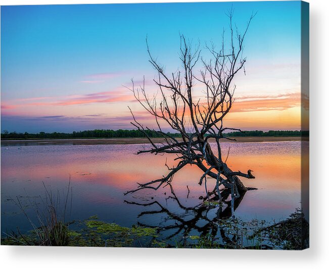 One Stands Alone Acrylic Print featuring the photograph One Stands Alone by Mark Papke