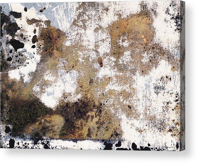 Abstract Acrylic Print featuring the mixed media Organic Neutral Abstract- Art by Linda Woods by Linda Woods