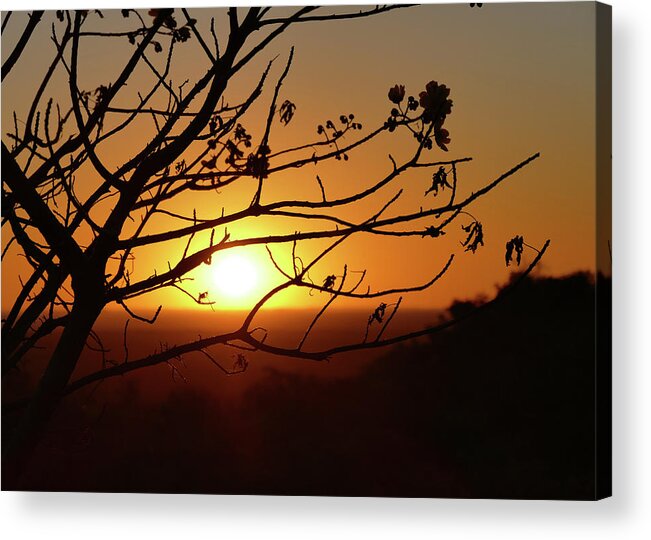 Sunset Acrylic Print featuring the photograph Outback Sunset 2 by Maryse Jansen
