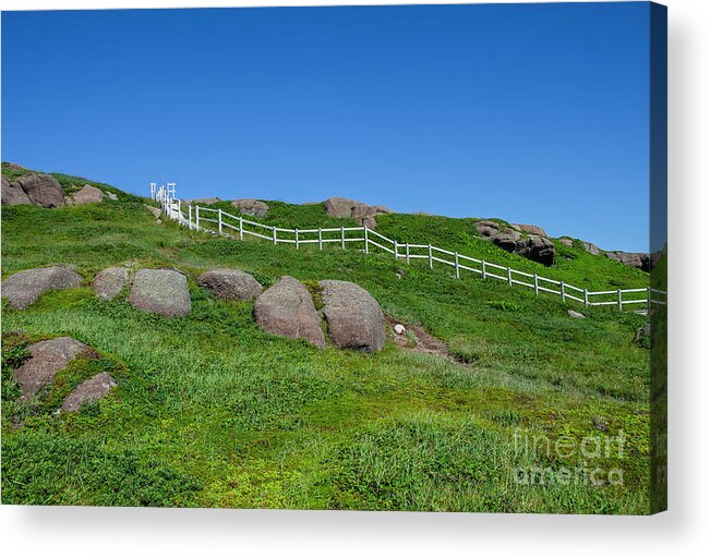 Cape Spear Acrylic Print featuring the photograph Over the hill... by Nina Stavlund