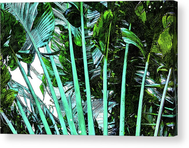 Palm Tree Acrylic Print featuring the mixed media Palm Tree Fronds by Pamela Williams