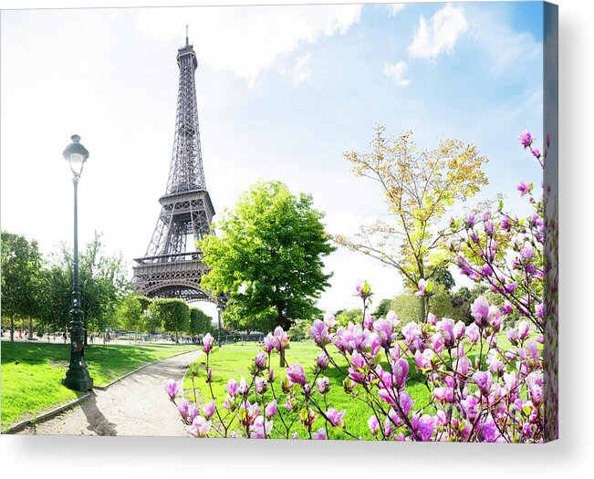 Eiffel Acrylic Print featuring the photograph Paris and Spring by Anastasy Yarmolovich