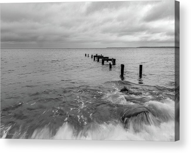 Falmouth Acrylic Print featuring the photograph Piers by David Lee