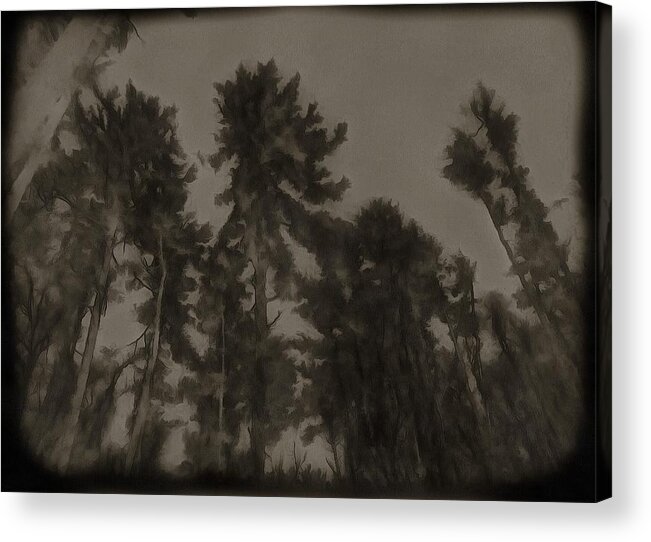 Pines Acrylic Print featuring the mixed media Pines by Christopher Reed