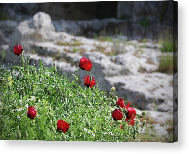 Poppies Acrylic Print featuring the photograph Poppies and Ruins by M Kathleen Warren