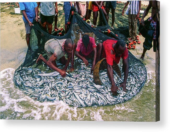 Fishermen Acrylic Print featuring the photograph Pulling In The Seine - Fishermen, Trinidad and Tobago by Earth And Spirit