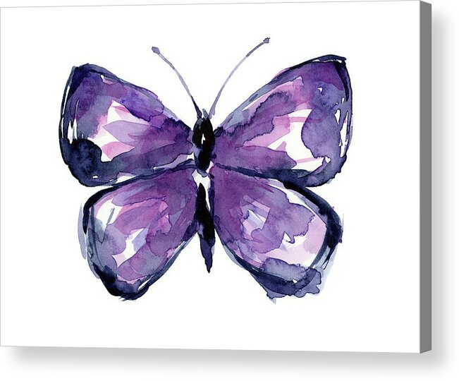 Butterfly Acrylic Print featuring the painting Purple Butterfly Watercolor by Olga Shvartsur