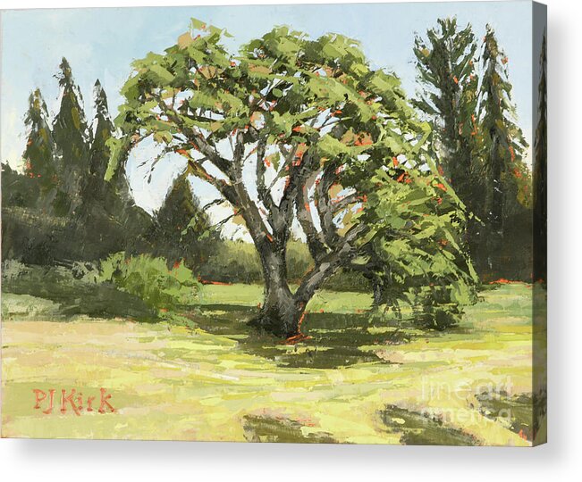 Landscape Acrylic Print featuring the painting Ragle Ranch Oak by PJ Kirk