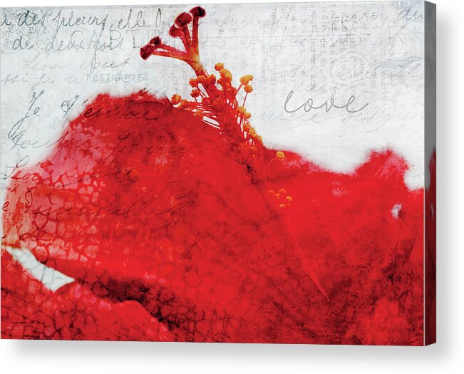 Valentine Acrylic Print featuring the digital art Red Flower of Love by Moira Law
